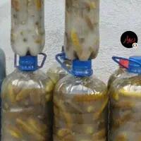 خیارشور