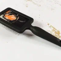 چاپ کارت ویزیت، لیبل، پیکسل،ماگ،کوله‌پشتی|خدمات رایانه‌ای و موبایل|شیراز, بالا کفت|دیوار