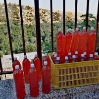 آبغوره