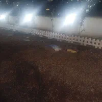 خدمات ساختمانی صفر تا صد انبوه سازان|خدمات پیشه و مهارت|کلاردشت, |دیوار