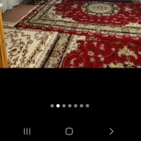 فرش ۵۰۰شانه کاشان|فرش|زاهدان, |دیوار