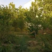 زمین2500-متری-بر-70-تجاری