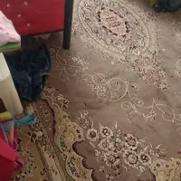 فرش|فرش|بانه, |دیوار