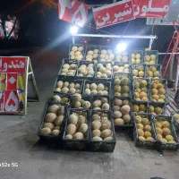 راکی و ملون شیرین مفت مفت