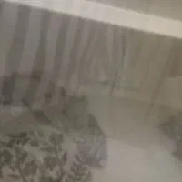 ویترین مغازه