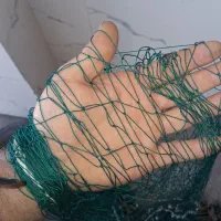 تور ماهیگیری