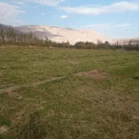 یونجه امسال
