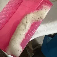 ریشه کن شدن شپش و رشک یک جلسه