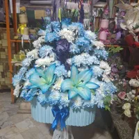 نیروی کار جوان   علاقمند به کار گل وگیاه
