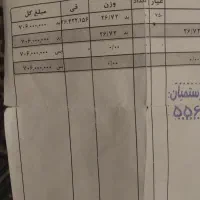 پلاک زنجیر طلا