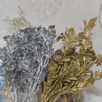 بوته اکلیلی و مغزی گل دکمه ای