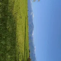 زمین-فروشی-در-روستای-امیراباد