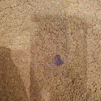 فرش فانتزی ۱۲ متری.گلدار نارنجی.فرش باغ|فرش|پرند, فاز ۶|دیوار