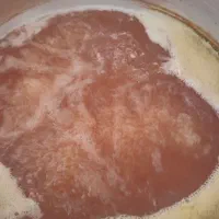 آبغوره خالص