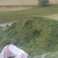 علوفه  یونجه چین سوم گونی گرفته