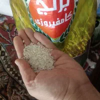 برنج عنبر بو بدون واسطه|خوردنی و آشامیدنی|تهران, چوب تراش|دیوار
