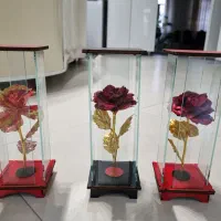 زیبا ترین رز جاودان روز مادر