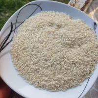 برنج علی کاظمی