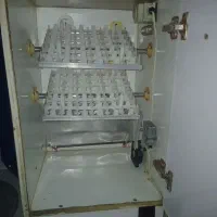 دستگاه جوجه کشی