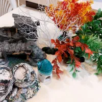 آکواریوم aqua رومیزی|ماهی|تهران, تهرانپارس شرقی|دیوار