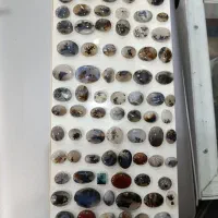 نگین شجر معاوضه با پرنده