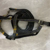 قلاده نونو|لوازم جانبی حیوانات|اصفهان, میرعماد|دیوار