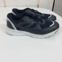 کفش ملی|کیف، کفش، کمربند|شیراز, شریف‌آباد|دیوار