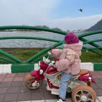 موتور شارژی