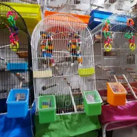 قفس گرینچیک،عروس هلندی ،طوطی ،مرغ عشق مینا، راهب