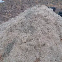 کاه لوبیا و یه شلیف ماش