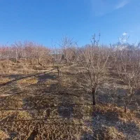 باغ-بادام-بارده-نزدیک-پل-زمانخان