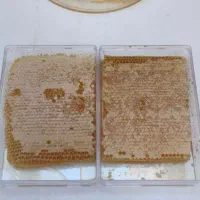 عسل طبیعی آذربایجان|حراج|قم, نیروگاه|دیوار