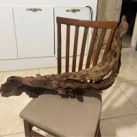 ابنوس حرفه ای