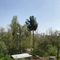 ساختمان نیمه ساز|فروش خانه و ویلا|اصفهان, کارلادان|دیوار