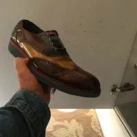 کتونی و کفش اورجینال برند|کیف، کفش، کمربند|کرج, گلشهر|دیوار