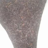 کشمش افتابی