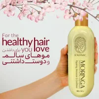 شامپو مورینگا|آرایشی، بهداشتی، درمانی|قم, زنبیل آباد|دیوار