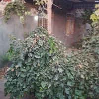 خانه باغ دوبلکس 120متربنا بادرخت واستخر کلا 380متر|فروش خانه و ویلا|زاوه, |دیوار