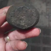 شهاب سنگ .و فسیله ۶۰میلیون ساله