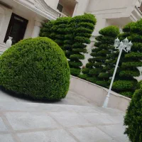 خدمات باغبانی در تمام نقاط تهران