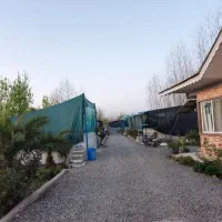 کار در پرورش ماهی سردابی|استخدام سرایداری و نظافت|لنگرود, |دیوار