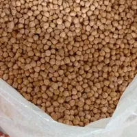 پخش حبوبات احمدی