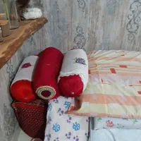 تشک پنبه ایی|رختخواب، بالش، پتو|شیراز, فرگاز|دیوار