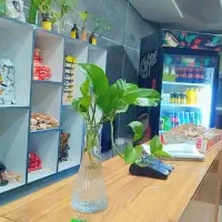 کافه بیلیارد|فروشگاه و مغازه|یاسوج, |دیوار