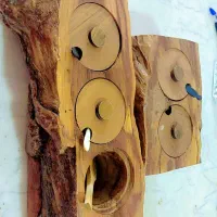 ظروف ادویه