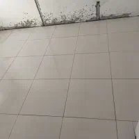 نیازمند شاگرد کاشی کار (حداکثر 30 سال)