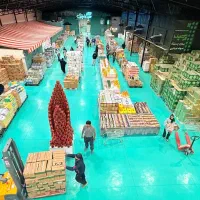 فروشنده چای جهت کار در بازار بزرگ مواد غذایی وکیل