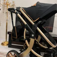کالسکه شاسی بلند آلمانی کریکات شو