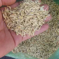 خریدارجو گندم یونجه نقدی