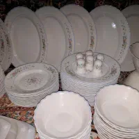 سرویس ارکوپال ۳۰نفره ویکتوریا مردکماندار